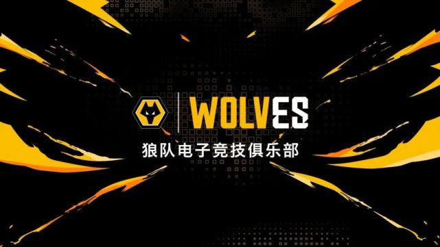 “双冠全华班”深圳狼队再临洲际赛场 FC Pro冠军杯8月19日打响巅峰角逐插图